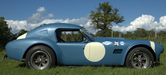 Fia 289 Cobra